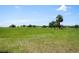 Scenic acreage of pasture with a scattering of mature trees set beneath a blue sky offers endless possibilities at 21144 Royal St Georges Ln, Leesburg, FL 34748