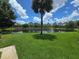 Relaxing view of the community pond through a palm tree on a bright day at 5288 Cypress Ct # 439, Orlando, FL 32811
