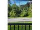 View from the patio looking out on a road and a lush tree line at 120 Hibiscus Woods Ct # 11B, Deltona, FL 32725