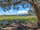 Expansive lawn with a view of the rear of a home featuring a covered patio, merging indoor and outdoor living at 14243 County Road 450, Umatilla, FL 32784