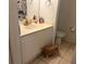 Bathroom with sink, vanity, mirror and dinosaur shower curtain at 2770 Club Cortile Cir # A, Kissimmee, FL 34746