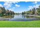 Scenic pond view featuring a fountain, framed by lush trees, and a grassy foreground at 3757 Conroy Rd # 2525, Orlando, FL 32839