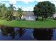 Backyard view of a lush lawn, mature trees, and serene lake, perfect for relaxation at 5804 Plum Pudding Ct, Orlando, FL 32821