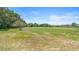 Vast expanse of green land with scattered trees, showcasing the property's generous acreage at 700 Old Geneva Rd, Geneva, FL 32732