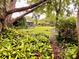 Lush backyard featuring vibrant greenery and mature trees, creating a serene outdoor space at 8547 Cedar Cove Dr, Orlando, FL 32819