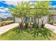Well-manicured front yard featuring lush green grass, landscaping, and a driveway at 3303 Azolla St, Orlando, FL 32808