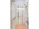 Shower featuring a grab bar, tiled walls, and a modern shower head for safety and style at 3728 Hunters Isle Dr, Orlando, FL 32837