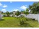 A green backyard featuring a healthy lawn, a white fence, and vibrant plants under a beautiful blue sky at 404 Bar Ct, Kissimmee, FL 34759
