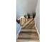 Modern staircase features hardwood steps, white risers, and decorative plants at 5169 Dove Tree, Orlando, FL 32811
