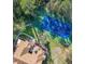 Overhead angle of community tennis court, landscaping, and condo building at 645 Stafford Ter # 163, Altamonte Springs, FL 32714