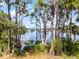 Scenic lake view framed by cypress trees and lush greenery at 9642 Florida Boys Ranch Rd, Clermont, FL 34711