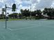 Spacious community basketball court surrounded by lush greenery and palm trees at 2315 Black Lake Blvd, Winter Garden, FL 34787