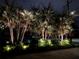 Landscaping featuring palm trees and lights at 319 Halsey St, Orlando, FL 32839