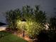 Professionally landscaped yard with mulch, plants, and a tasteful garden light at 319 Halsey St, Orlando, FL 32839