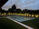 Exterior pool and deck area with palm trees lit up at night at 319 Halsey St, Orlando, FL 32839