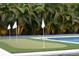 Artificial putting green near the pool, surrounded by palm trees at 319 Halsey St, Orlando, FL 32839