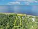 An aerial view showing the property boundaries and lush surrounding of mature trees by the water at 419 Whitcomb Dr, Geneva, FL 32732
