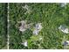 Overhead view captures the home, pool, and tennis court tucked amidst lush greenery at 546 Winona Dr, Geneva, FL 32732