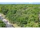 Aerial view showcasing a lush landscape with mature trees, expansive property and foliage at 546 Winona Dr, Geneva, FL 32732