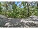Scenic driveway surrounded by lush greenery and mature trees, creating a private and serene entrance to the property at 546 Winona Dr, Geneva, FL 32732