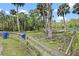 Large fenced pasture area with mature trees, providing ample space for livestock and grazing in a tranquil setting at 546 Winona Dr, Geneva, FL 32732