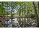 Still pond surrounded by lush trees and foliage creating a tranquil scene in a peaceful wooded area at 546 Winona Dr, Geneva, FL 32732
