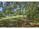 Expansive property with sprawling green space, mature trees and lush foliage at 546 Winona Dr, Geneva, FL 32732