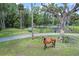 Scenic property with horse in the foreground, trees and a shed in background at 546 Winona Dr, Geneva, FL 32732