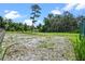 Expansive property with mature trees, lush greenery, and a wooden fence at 546 Winona Dr, Geneva, FL 32732