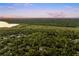 Lush canopy of trees surrounding the homes in this tranquil community, with a peaceful lake in the distance at 1443 Stone Trl, Enterprise, FL 32725