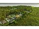 Gorgeous aerial view of waterfront homes surrounded by dense, verdant greenery at 1443 Stone Trl, Enterprise, FL 32725