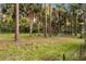 Spacious backyard featuring mature trees and lush green grass at 1443 Stone Trl, Enterprise, FL 32725