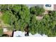 Birds-eye view of the property showcasing mature trees, roofline and neighborhood at 1600 Dauphin Ln, Orlando, FL 32803