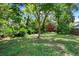 Large grassy backyard with trees surrounding the house and fence at 1600 Dauphin Ln, Orlando, FL 32803