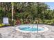 A close up of the spa with a paver patio, tropical landscaping, and a black aluminum fence at 3004 Chromatic St, Kissimmee, FL 34758