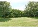 Expansive backyard with lush green grass, mature trees and hedges at 10275 Henbury St, Orlando, FL 32832