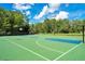 Well-maintained outdoor basketball court with green and blue accents surrounded by lush greenery at 2388 Baronsmede Ct, Winter Garden, FL 34787