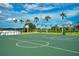 Outdoor basketball court featuring well-maintained green surface with palm trees and clear blue sky at 2388 Baronsmede Ct, Winter Garden, FL 34787