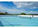 Image of a blue roller hockey rink and blue sky in a community recreational area at 2388 Baronsmede Ct, Winter Garden, FL 34787