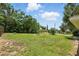 Large backyard with grass, some trees, and blue skies in the background at 608 Swanson St, Groveland, FL 34736