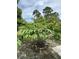 Lush yard featuring a guava tree, bordered by stone, adding natural beauty to the property at 9355 Telfer Run, Orlando, FL 32817