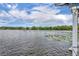 Scenic lake view featuring water activities and lush greenery, capturing the beauty of lake living at 339 Carolyn Dr, Oviedo, FL 32765