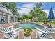 Beautiful pool featuring waterfalls, lush greenery, and comfortable lounge seating for ultimate relaxation at 339 Carolyn Dr, Oviedo, FL 32765