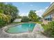 Backyard swimming pool bordered by tropical greenery and a concrete patio at 2020 Cocos Ct, Winter Park, FL 32792