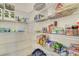 Walk-in pantry with wire shelving provides ample storage for food, paper towels, and household goods at 452 Diamond Dove Cv, Winter Springs, FL 32708
