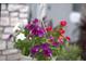 Close-up of vibrant hanging flowers, showcasing colorful blossoms and adding charm to the home's entrance at 5310 Teirgarten St, St Cloud, FL 34771