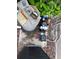 Pool pump system at 1452 Moon Valley Dr, Davenport, FL 33896
