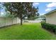 Landscaped backyard featuring a spacious grassy area, trees, and a white vinyl fence at 2042 Hayfield Way, Apopka, FL 32712