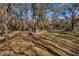 Picturesque view of the lush, tree-filled lot with natural ground cover, ideal for privacy at 63 Lake Wood Cir, Ocala, FL 34482
