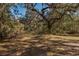 Expansive outdoor space with mature trees and natural foliage, offering a serene setting at 63 Lake Wood Cir, Ocala, FL 34482